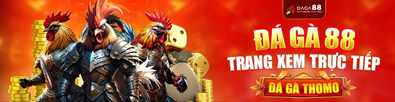 Đá gà trực tuyến kịch tính tại vwin bet