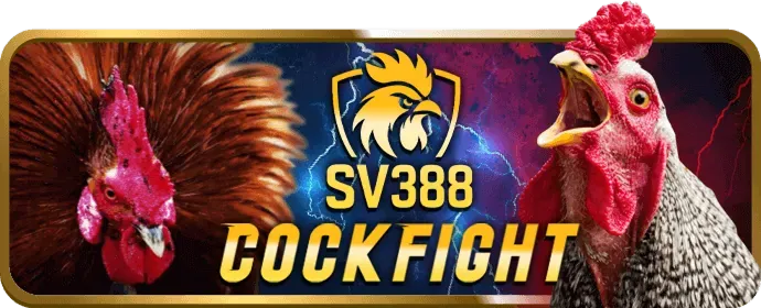 Hướng dẫn tải ứng dụng vwin bet trên điện thoại Android